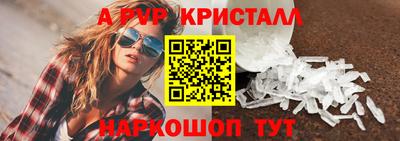 стаф Гатчина