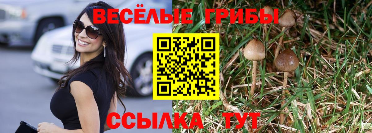 цена   Псилоцибиновые грибы Cubensis  Можайск  Вход с VPN  Псилоцибиновые грибы мицелий 